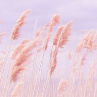 Judy小舖🍁批發群🍁