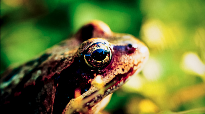 現在即是未來，4K/120fps 精細流暢畫面震撼，Sony KM-65X9000H 液晶電視實測