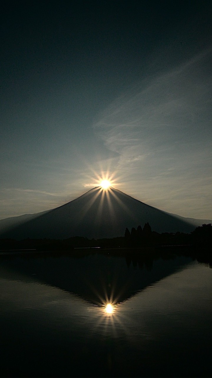 Carry Pact BOT. 日本TOP.