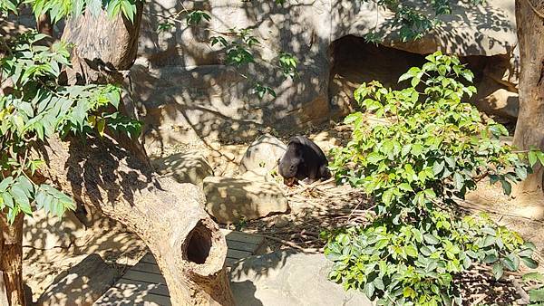 新竹動物園