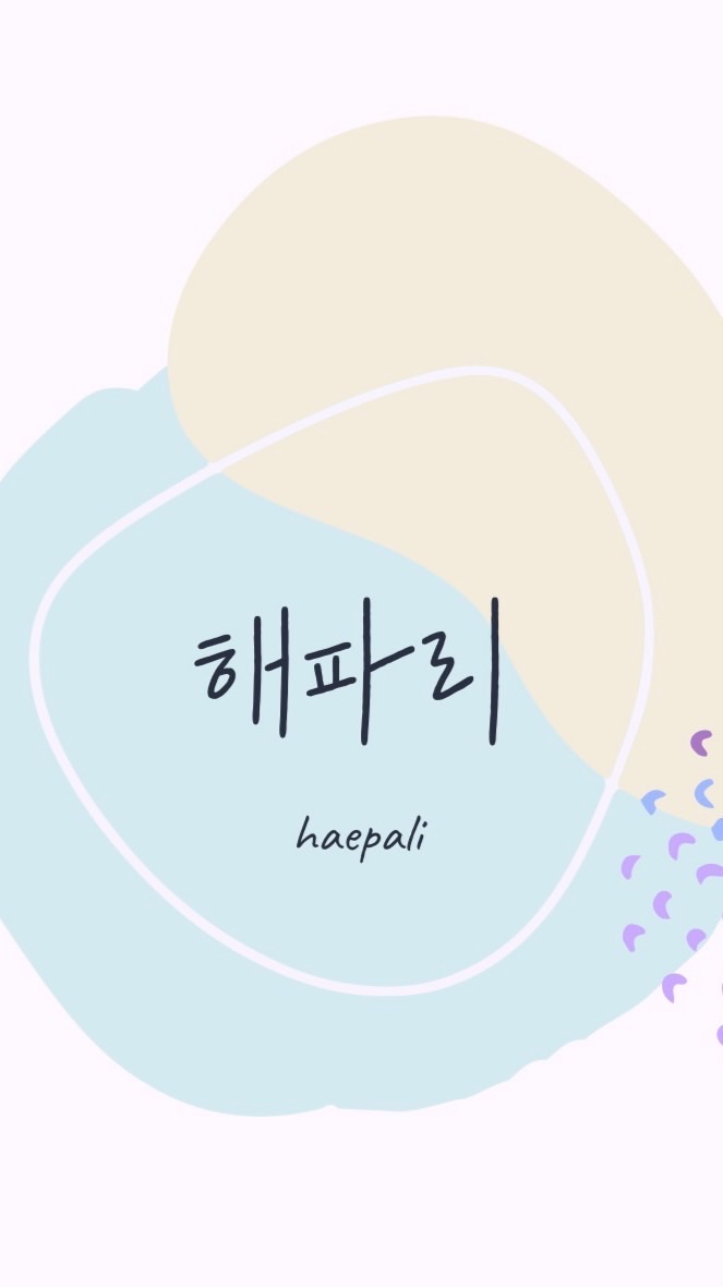 HAEPALI 連線代購群✈️