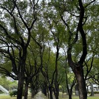 金旺房地產開發