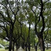金旺房地產開發