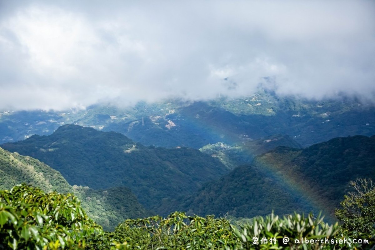 桃園人避暑首選！６條超好走私房步道：夢幻水母廊道、台灣小百岳、瀑布祕境