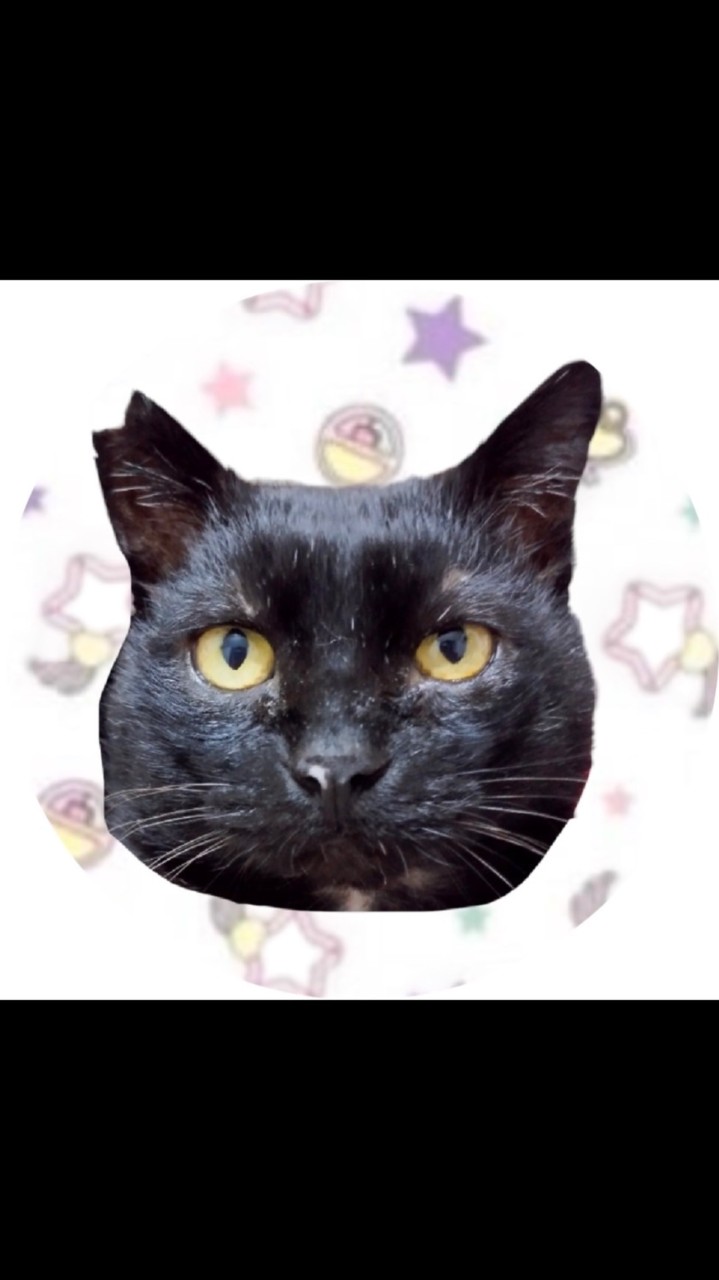 あんこ👩と龍太郎🐈‍⬛💕オープンチャット