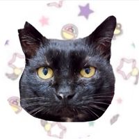 あんこ👩と龍太郎🐈‍⬛💕オープンチャット