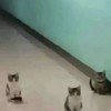 誠に緩いです。【全緩也】