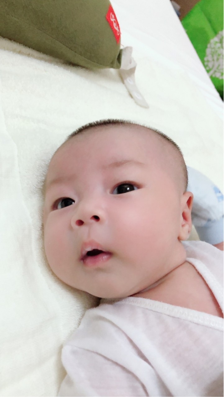 520小娃寶
