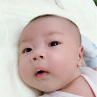 520小娃寶