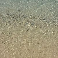 クロマチックハーモニカ気楽に楽しく!