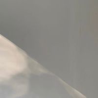 TRUE模特兒社群