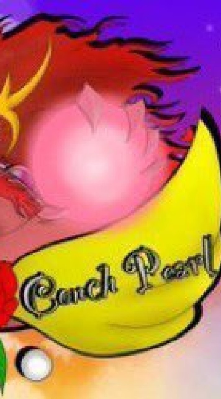 Conch避難所