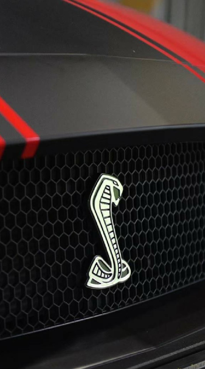 ชื่อขาย Ford Mustang