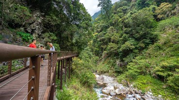 受保護的內容: 台中景點【八仙山國家森林遊樂區】台灣八景之一.親子踏青一日遊