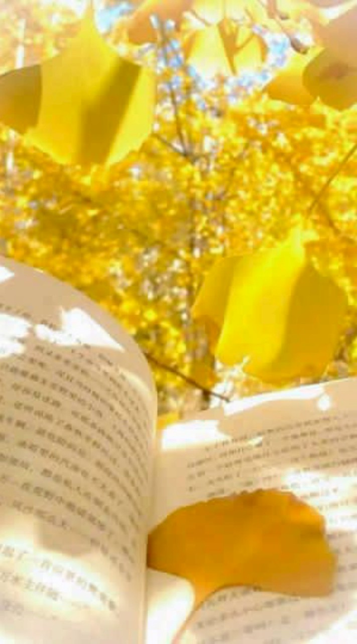 𓋜𓂃  心 之 所 恋. 😖 ꒷꒦ ⸝⸝