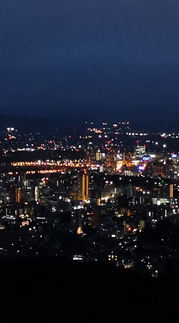 岩手県宮古山田なんでも