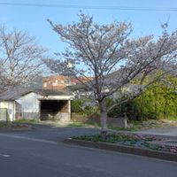 安全地帯