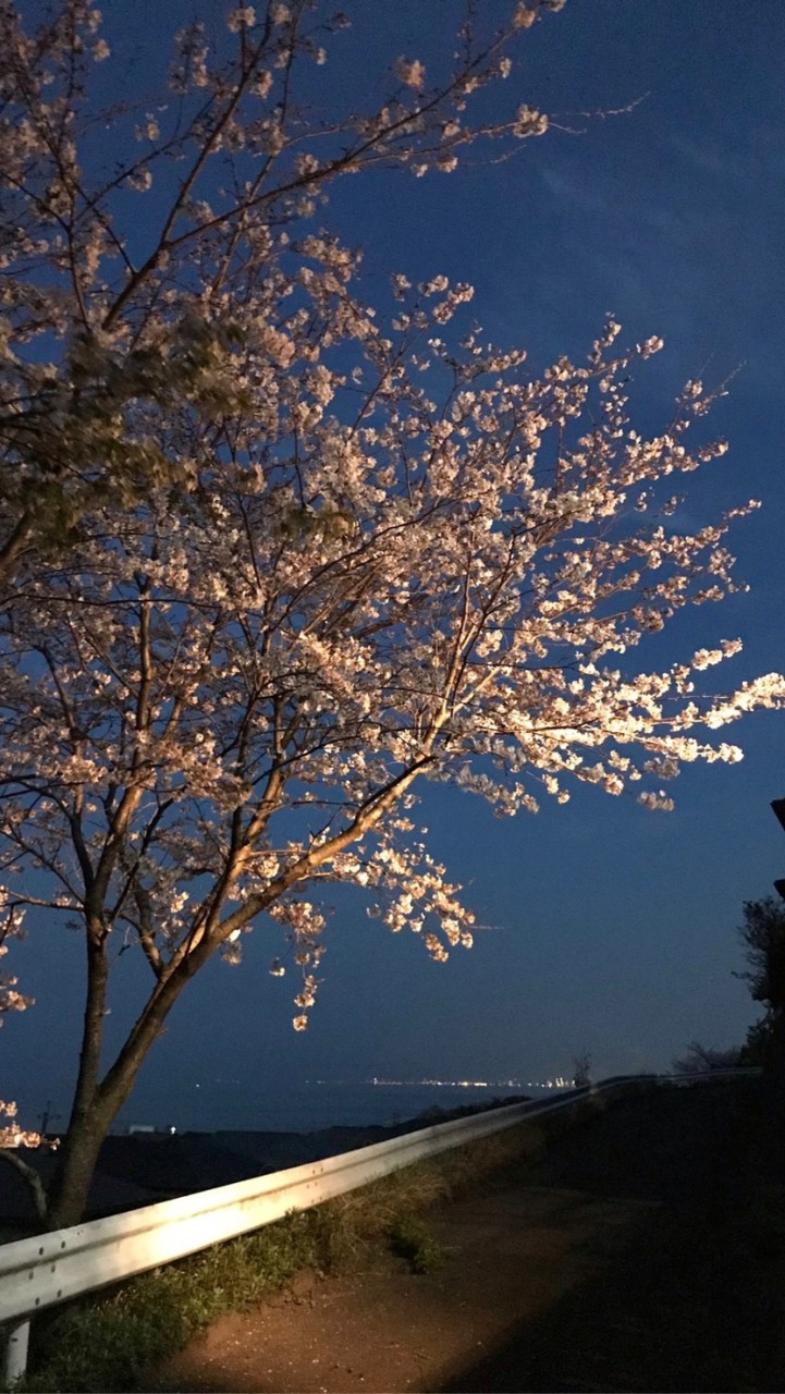 ~大分県副業情報交換~のオープンチャット