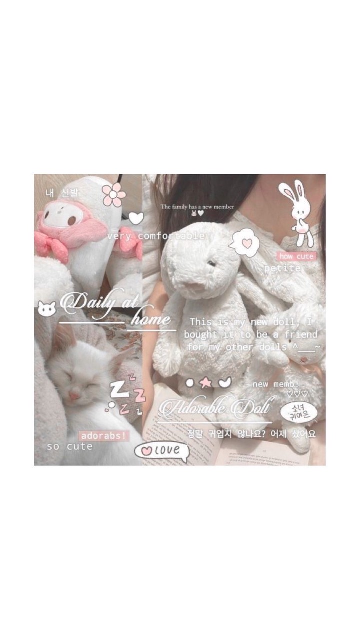 ꔛ 🐇˚ ふみこ꒷ ꒦ 🗒️ ° ٭