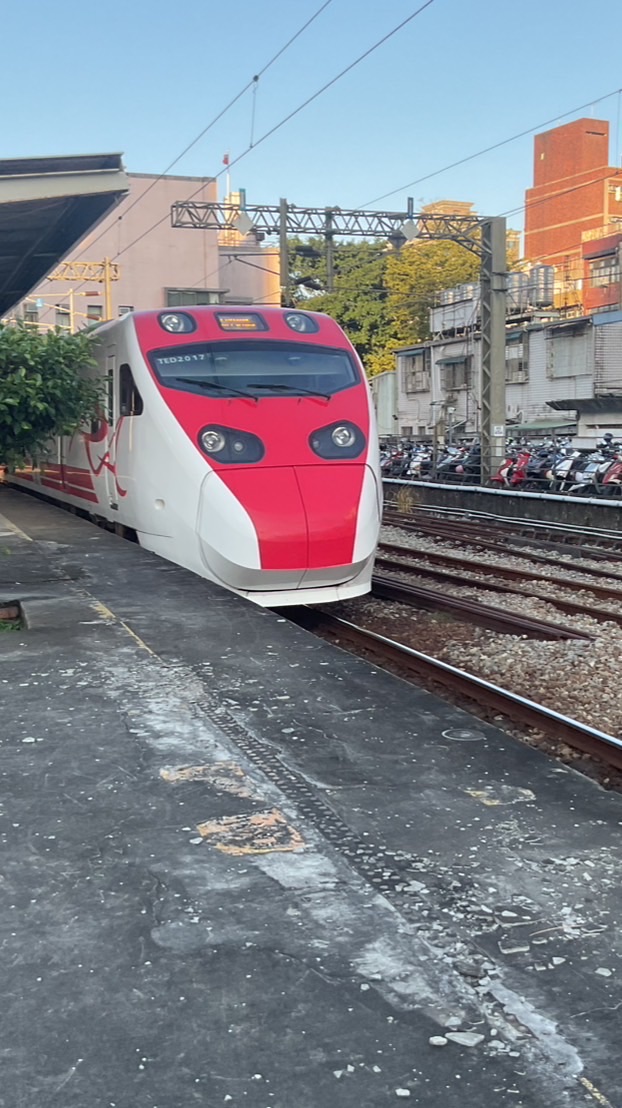 臺鐵彩繪列車 特殊列車通報