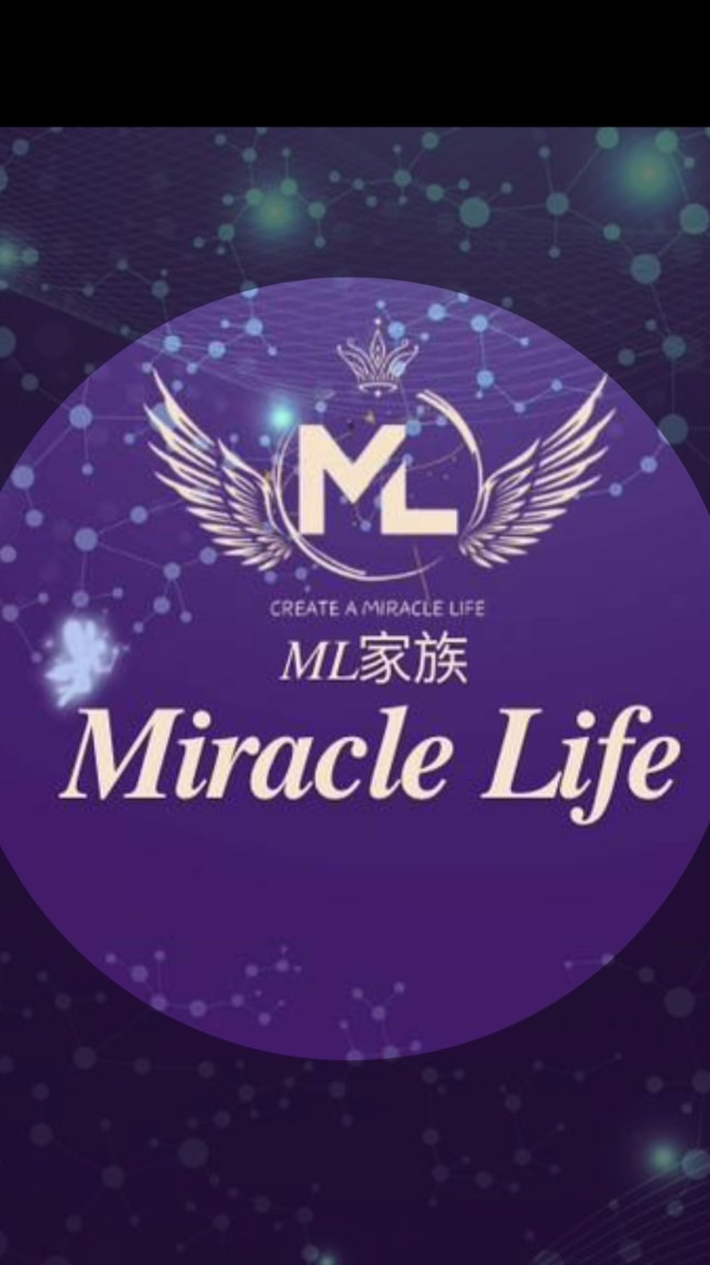 ML家族三大板塊見證群