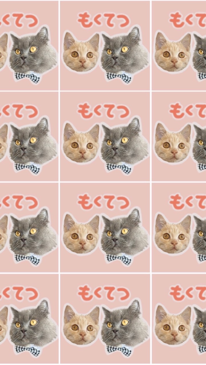 もくてつ隊🐈‍⬛🐈🙋‍♂️🙋‍♀️