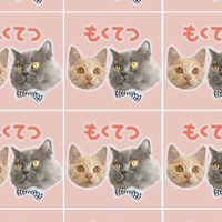 もくてつ隊🐈‍⬛🐈🙋‍♂️🙋‍♀️