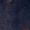 《　呪いで呪いを討ち祓え　》