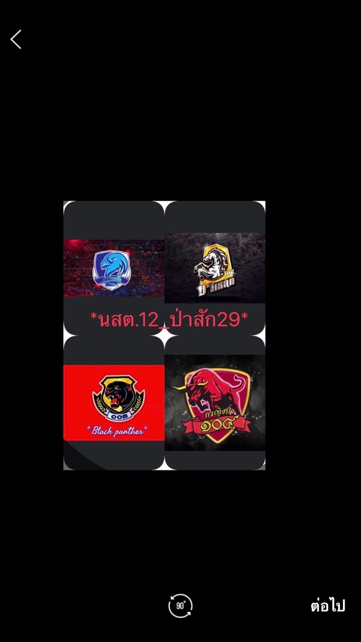 ป่าสัก29