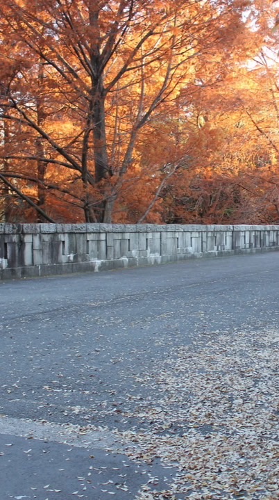 無料スタンプを探そう❣️