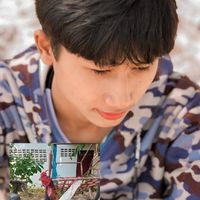 Nkฟาร์มไก่ชน