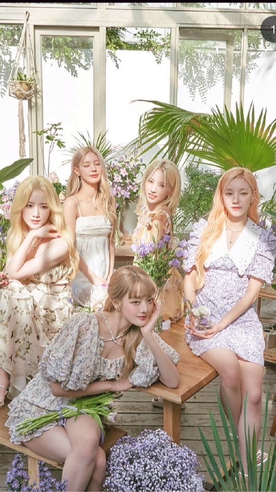 女明星和i-dle粉絲團！