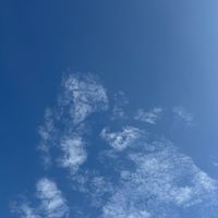 なごやSEL同好会