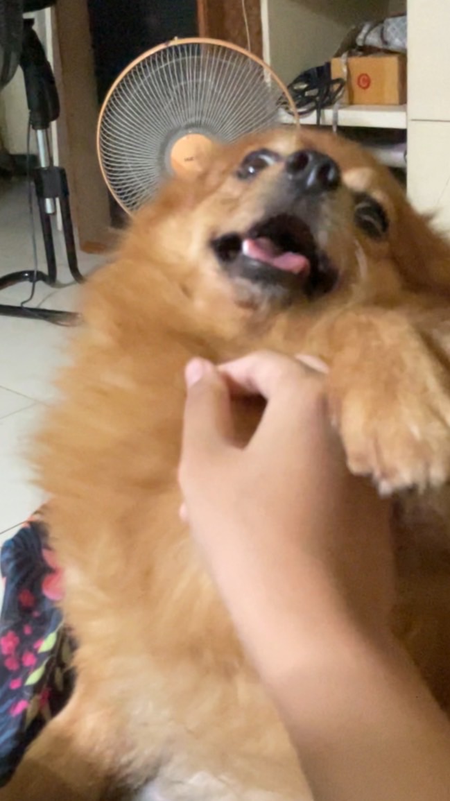Gooddy