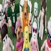 みそらキッズ好きな人集合！
