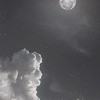 求む ‼️ 暇人めちゃつえー ‼️