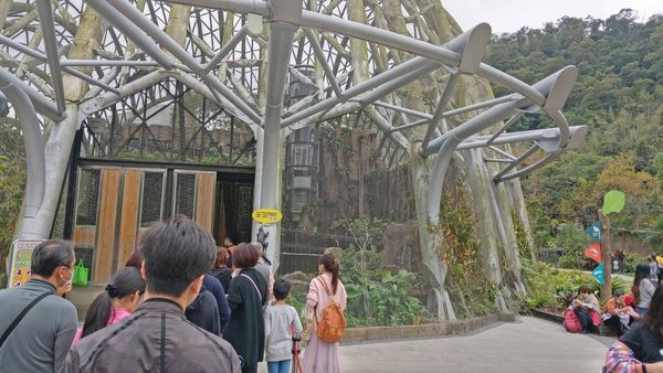 【台北景點】台北市立動物園-逛一整天也逛不完的必去景點！大朋友小朋友最適合的親子旅遊