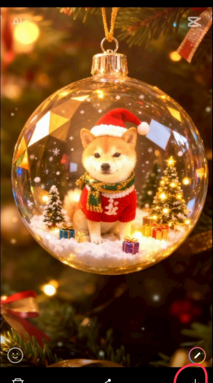 わんちゃん猫ちゃん好きな人