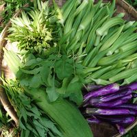 幸福農莊×藝食知選