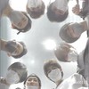 SnowMan好き集合!!(女子限定)
