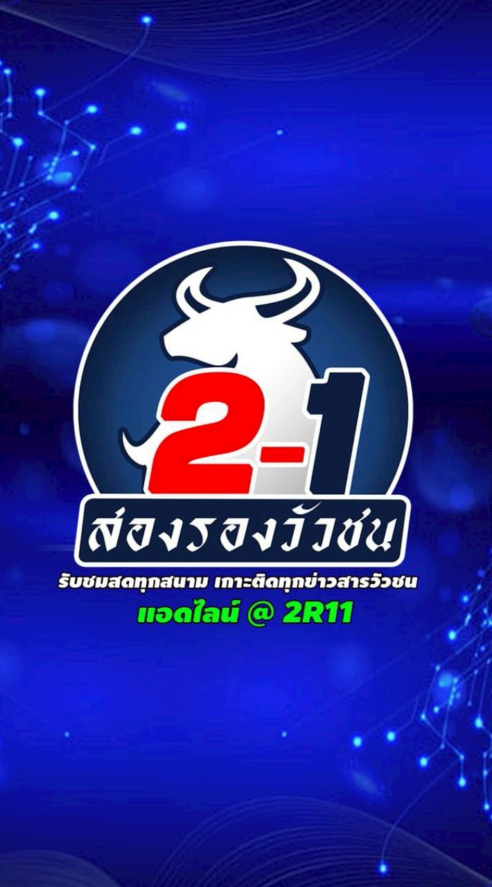 สองรองวัวชน