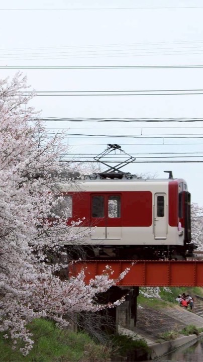 「TDH」全国の鉄道ファン集合