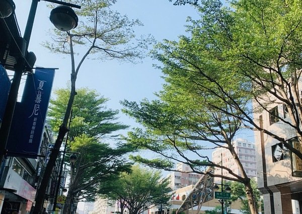 倪倪愛旅遊－『台中購物商圈推薦』台中在地人後花園小歐洲，綠意盎然異國購物散策－台中市大隆路商圈日韓、歐美私貨精品挖寶直擊分享