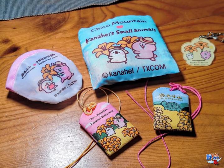 2023赤柯山金針花海必拍推薦8大景點 @Ya!Travel 野旅行新聞網