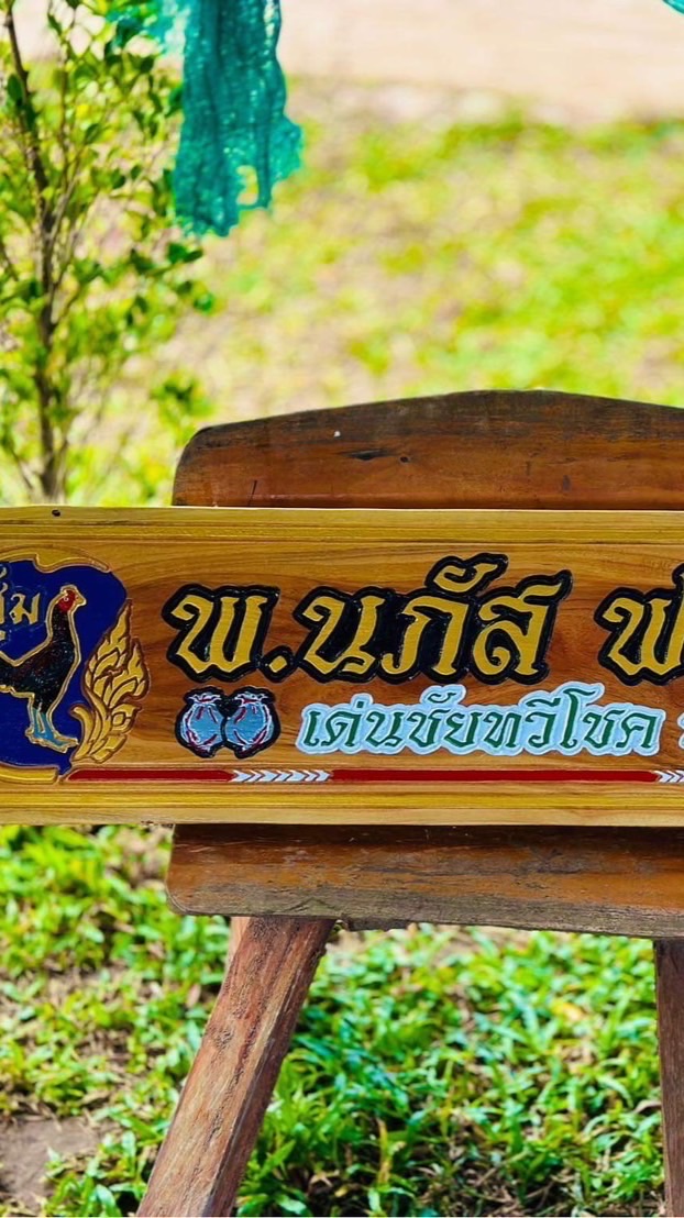 ซุ้ม พ.นภัส