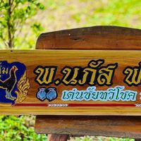 ซุ้ม พ.นภัส