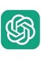 ChatGPT coding 開發者