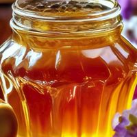 ハチミツ🍯問い合わせ専用❤️