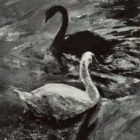 白黒の ｾ ｶ ｲ .　~twst也~