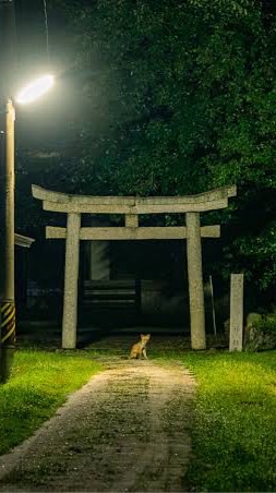 黒稲荷神社